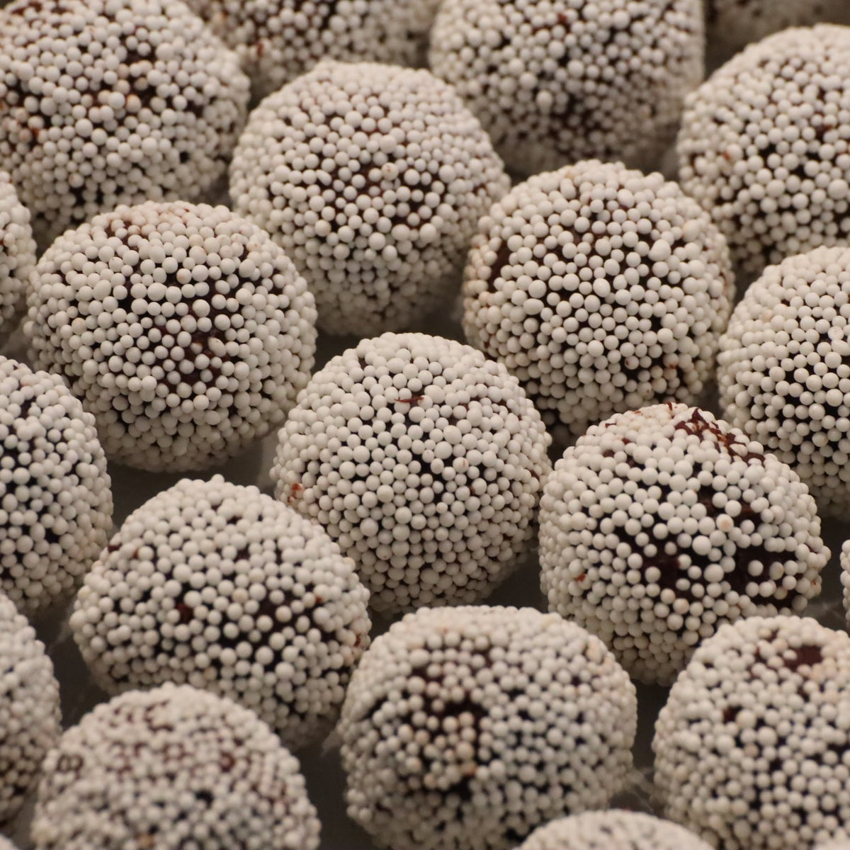 FYNE Artisan Truffles